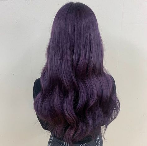 Dark Grey Purple Hair, Bluish Purple Hair, Grape Purple Hair, Dark Lavender Hair, Deep Violet Hair, Beautiful Hair Dye, Kpop Hair Color, Dark Purple Hair, Plum Hair