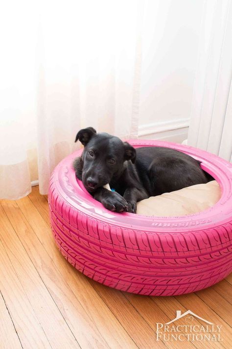 Turn an old tire into a DIY dog bed: It's quick and easy to do, and a great way to recycle an old tire! All you need is spray paint and a round bed! Tire Craft, Diy Pet Bed, Dog House Diy, Diy Dog Bed, Old Tires, Used Tires, Animal Projects, Diy Dog, Dog Boarding