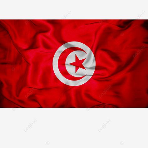 Tunisia Flag, Carthage, Volkswagen Logo, Tunisia, Paris France, Vehicle Logos, Flag, Football, ? Logo