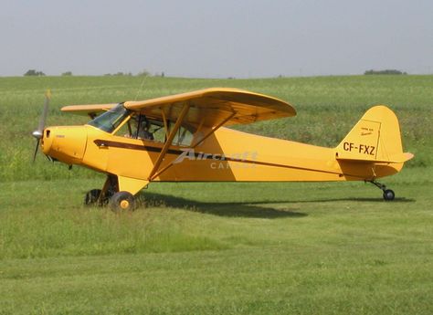 1949 Piper PA-11 Cub Special for sale in Calgary, AB Canada => www.AirplaneMart.com/aircraft-for-sale/Single-Engine-Piston/1949-Piper-PA-11-Cub-Special/10815/ Planes For Sale, Piper Aircraft, Aircraft Sales, Used Aircraft, Bush Plane, Aviation Fuel, Small Airplanes, Airplane For Sale, Small Aircraft