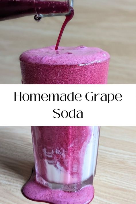 Grape Juice Recipe, Concord Grapes, Grape Harvest, Grape Uses, Healthy Probiotics, Fermentation Recipes, Soda Recipe, Fermented Vegetables, Grape Harvesting