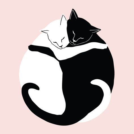 Black and White illustration, pink background, two cats hugging. A2 folded notecard. Art by Cait Maud #cats #hug #bestfriends #love Cat Love Illustration, 2 Cats Illustration, Winter Dog Illustration, Two Cats Illustration, Cats Hugging Drawing, Drawing Hugging, Two Cats Tattoo, Cats Valentines Day, Hugging Cats