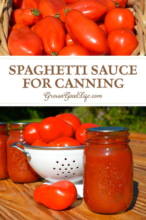 Pressure Canning Tomato Sauce Recipes, Canning Homemade Spaghetti Sauce With Fresh Tomatoes, Ball Tomato Sauce Canning Recipe, Roasted Pasta Sauce For Canning, Home Made Pasta Sauce With Fresh Tomatoes, Large Batch Spaghetti Sauce For Canning, Spaghetti Sauce From Fresh Tomatoes Canning, Ball Canning Recipes Tomatoes, Home Canned Spaghetti Sauce