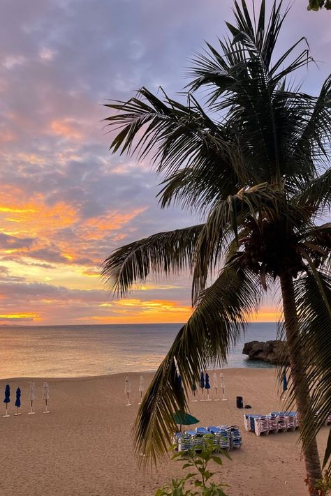 A purple, yellow, and orange tropical sunset framed by a palm tree and the ocean. This beach is much more quiet than the nearby Sosua beach Sosua, Tropical Sunset, Dominican Republic, Palm Tree, Palm Trees, The Ocean, Trip Advisor, Travel Photography, Need To Know