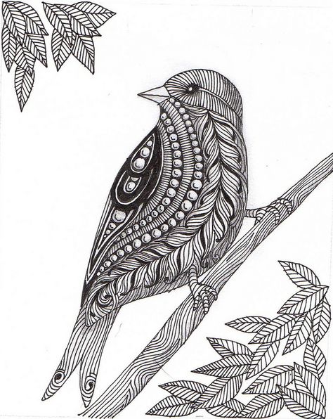 6. Maiguru is compared to a mother bird. She watches over her children, including Tambu, and makes sure they are fed and taken care of, just like a mother. Modele Zentangle, Zantangle Art, Drawing Dragon, Drawing Bird, Zentangle Animals, Animal Outline, Bird Drawing, Zentangle Designs, Doodle Art Drawing