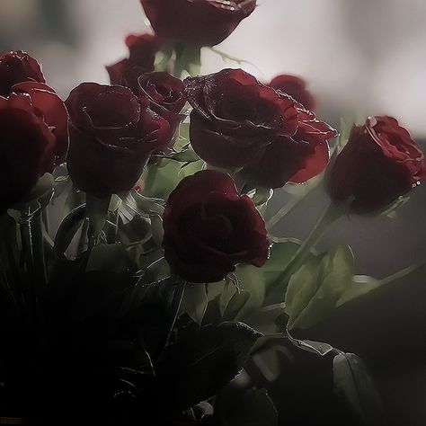 Vintage Dark Red Aesthetic, Dark Red Roses Aesthetic, James Chance, Red Roses Aesthetic, Dark Fairy Core, Become A Florist, Roses Photography, Dark Red Roses, Rose Aesthetic