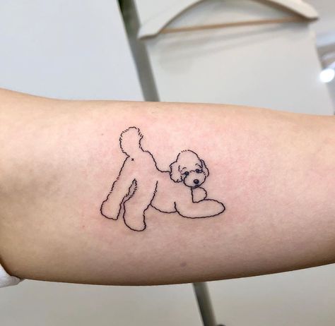 19 Poodle Tattoo Ideas Puddle Tattoo Dog, Poodle Tattoos Small Outline, Poodle Fine Line Tattoo, Toy Poodle Tattoo Ideas, Mini Poodle Tattoo, Standard Poodle Tattoo, Goldendoodle Tattoo Ideas, Cavoodle Tattoo, Dog Doodle Tattoo