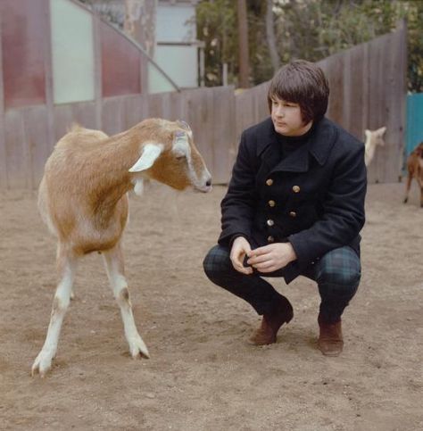 Brian Wilson and a goat. The Beach Boys' Pet Sounds photo shoot. PH George Jerman Feb 1966. Pet Sounds Beach Boys, Casey Kasem, Morrison Hotel, Mike Love, Pet Sounds, People Images, Brian Wilson, Classic Songs, Beach Boys