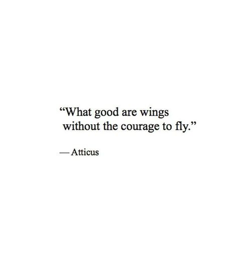 what good are wings without the courage to fly Poetry Quotes, Now Quotes, Kill A Mockingbird, To Kill A Mockingbird, Motiverende Quotes, Atticus, Quotable Quotes, A Quote, Pretty Words