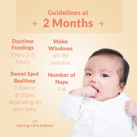 2 Month Old Sleep Schedule | Taking Cara Babies 2 Month Old Schedule, Taking Cara Babies, Wake Windows, Colicky Baby, Baby Routine, Newborn Baby Tips, Sleep Training Baby, Future Mommy, Baby Lounger