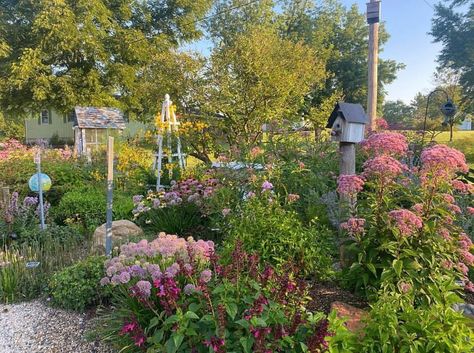 Midwest Gardening, Awesome Gardens, Wild Birds Unlimited, Picea Pungens, Honeysuckle Vine, Eastern Redbud, Pollinator Plants, Future Garden, Crabapple Tree