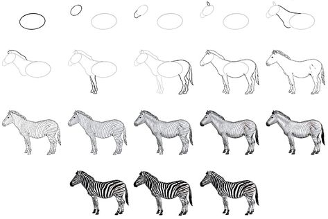 How To Draw A Zebra Step By Step, How To Draw A Zebra Easy, Zebra Drawing Easy, Drawing Tips And Tricks, Zebra Drawing, Top Drawing, Zebra Art, Sketches Pencil, How To Shade