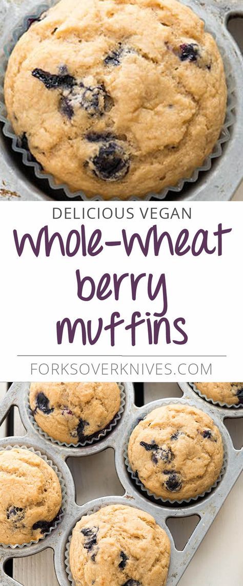 These are a perfectly delicious breakfast muffin with loads of berry goodness and a tasty, wheaty backdrop. If you can find wild blueberries, use them—they are perfect for muffins because they’re tiny and distribute beautifully without making the muffin soggy.... Read more Vegan Whole Wheat Muffins, Plant Based Blueberry Muffins, Whole Food Plant Based Muffins, Forks Over Knives Desserts, Plant Based Muffins, Berry Muffin Recipe, Muffin Vegan, Healthy Vegan Dessert, Wheat Berry