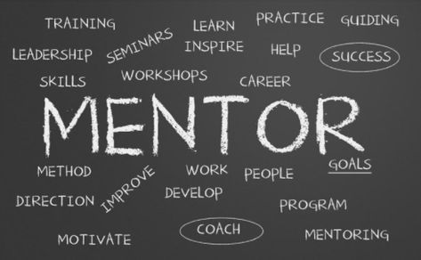 Mentors in Social Media: What you need to know - eClincher Office Training, Mentor Program, Work Goals, Mentorship Program, Leadership Tips, Business Mentor, Financial Tips, Professional Development, Personal Development