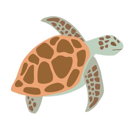 Turtle Widget, Turtle Shape, Sea Turtle Cartoon, Sea Turtle Illustration, Cartoon Sea Turtle, Turtle Clip Art, Turtle Icon, Turtle Png, Sea Turtle Clipart