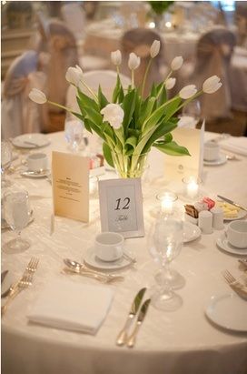 tulip centerpiece w purple thrown in along w some Picasso calla lillies Tall Tulip Centerpieces Wedding, Fimo, Spring Wedding Flowers Centerpieces White Tulips, Spring Tulip Wedding, Simple Tulip Centerpieces, Tulips Decoration Wedding, Wedding Decorations Tulips, Tulips Wedding Centerpiece, Wedding Centerpieces Tulips