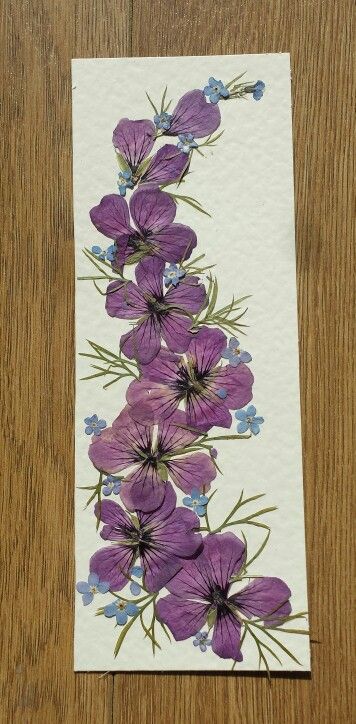 Real pressed flower Art Bookmarks, Pressed Flowers Diy, Jewerly Art, Dried Flowers Diy, Illustration Kunst, Pressed Flower Crafts, Flower Bookmark, Dried And Pressed Flowers, Pressed Flower Art