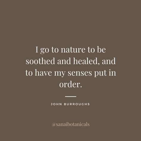 I go to nature to be soothed and healed, and to have my senses put in order. - John Burroughs Healing Power Of Nature Quotes, Earthing Grounding Quotes, Healing Water Quotes, In My Element Quotes, Nature Is Healing Quotes, You Can't Heal In The Same Environment, Nature Heals Quotes, Natural Healing Quotes, Healing In Nature