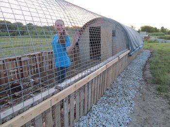 Compost-Included Deep Litter Hoop Coop - BackYard Chickens Community Pallet Hoop House, Cattle Panel Hoop Coop, Chicken Hoop Coop, Cattle Panel Chicken Coop, Chicken For Eggs, Hoop House Chickens, Chicken Run Door, Hoop Coop, Chicken Barn