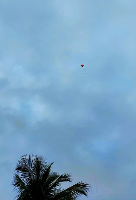 Sky; clouds; summer ; vacation; aesetic; friends ; palm tree ; tropical ; kite ; fun ; wind Kite Snap, Kite In Sky, Kite In The Sky, Sky Clouds, Palm Tree, Summer Vacation, Palm Trees, Quick Saves, Nature