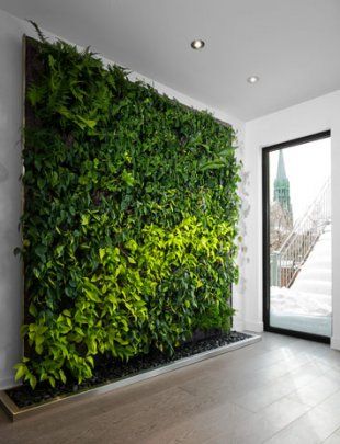 Indoor plant wall Green Wall Garden, Living Wall Indoor, Vertikal Garden, Garden Wall Designs, Indoor Plant Wall, Vertical Garden Indoor, Vertical Garden Design, Garage Furniture, Beautiful Home Gardens