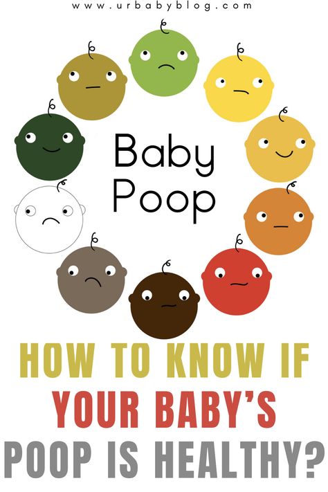 Baby Health, The Doctor, Baby Poop Color, Baby Poop Guide, Baby Poop, Developmental Milestones, Baby Blog, Newborn Essentials, Baby Care