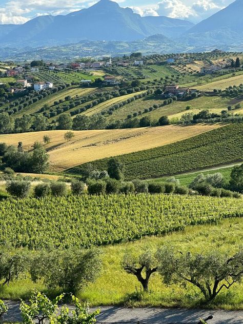 Lost in Abruzzo Vasto Italy, Abruzzo Italy, Brand Ideas, Beach Tennis, Regions Of Italy, Montepulciano, Historical Pictures, Puglia, Picture Wall