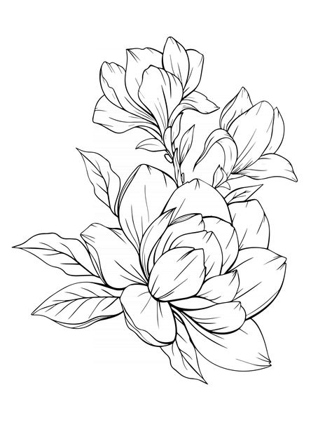 Download the Magnolia Flower Outline Magnolia LIne Art Line Drawing 3325125 royalty-free Vector from Vecteezy for your project and explore over a million other vectors, icons and clipart graphics! Peonies Flower Drawing, Magnolia Flower Design, Large Flower Drawing, Line Art Tattoos Flower, Flower Outline Art, Greek Plants, Magnolia Outline, Flower Drawing Outline, Floral Outline Drawing