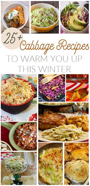 25+ Cabbage Recipes to Warm You Up This Winter Cabbage Salads, Church Recipes, Cabbage Dishes, Winter Veggies, Diy Easy Recipes, Cabbages, Cabbage Recipes, Winter Recipes, Recipe Roundup