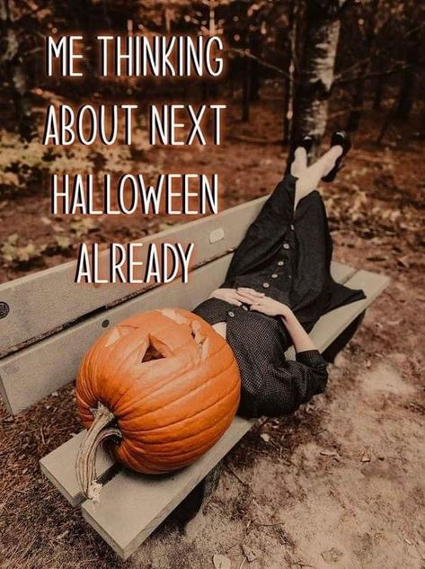 Funny Halloween Memes, Halloween Costume Inspiration, Perfect Halloween Costume, Almost Halloween, Halloween Memes, Halloween Is Coming, Halloween Graphics, Halloween Queen, Halloween Countdown