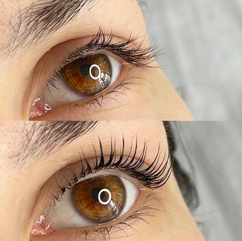 Elevate your lashes with a lift and tint. ✨ Enhance your natural beauty and save time on your morning routine with a lash lift and tint. Our expert estheticians will give your lashes a longer, fuller, and more curled appearance. Book your appointment today and enjoy luscious, lifted lashes. 🏣Prerequisite Beauty 👩‍⚕️Apryle Denise, MBA LE 📍Livonia, MI 🌐www.PrerequisiteBeauty.com 📲(313)912-8702 #PrerequisiteBeauty #LashLift #LashTint #Lashes #Beauty #EyeEnhancement Lash Lift And Tint Before And After, Lash Tint And Lift, Lifted Lashes, Lash Lift And Tint, Eyelash Lift And Tint, Lash Tint, Eyelash Lift, Lashes Beauty, Lash Lift