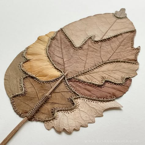 The evolution of Susanna Bauer’s stunning work continues with this recent piece which mixes magnolia, plane tree, poplar, eucalyptus, ginkgo, and oak leaves. Susanna regularly posts her beautiful work on Facebook. She has a web site too. Her next show will be in Switzerland in 2022 with Le Salon Vert. Leaf Art Diy, Dry Leaf Art, Plane Tree, Creative Textiles, Embroidered Leaves, Leaf Crafts, Stitch Book, Oak Leaves, Painted Leaves