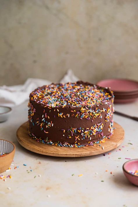 Chocolate Cake With Sprinkles, Cake With Rainbow Sprinkles, One Bowl Chocolate Cake Recipe, Cake With Rainbow, Cake With Sprinkles, Fluffy Chocolate Cake, Sprinkles Birthday Cake, Easy Cakes To Make, Chocolate Cake Recipe Easy