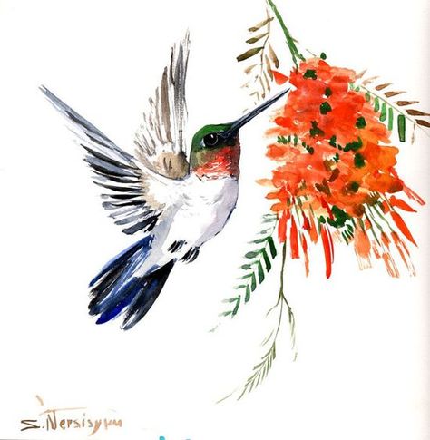 Watercolor Hummingbirds, Hummingbird Images, Watercolor Hummingbird, Hummingbird Painting, Watercolor Birds, Hummingbird Art, Hummingbird Tattoo, 수채화 그림, Bird Drawings