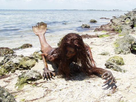 Real Mythical Creatures, Real Mermaids Found, Real Mermaids Sightings, Real Life Mermaid Found, Mythical Creatures List, Scary Mermaid, Mermaid Sightings, Evil Mermaids, Mermaid Gifs