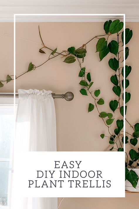 Vine Plants Climbing Wall Indoor, Hanging Climbing Plants, Decorating With Vines Indoors, Hanging Plants Wall Decor, Plants Climbing On Wall, Indoor Wall Climbing Plants, Long Hanging Plants Indoor, Diy Wall Trellis Indoor, Hanging Plant On Wall