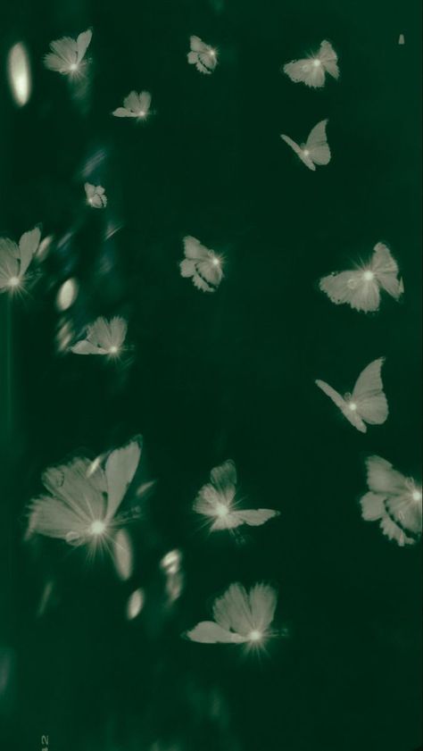 St Patrick's Day Wallpaper, Enchanting Wallpaper, Green Vibe, Day Wallpaper, Emerald Isle, St Patrick, Dark Green, Butterflies, Green