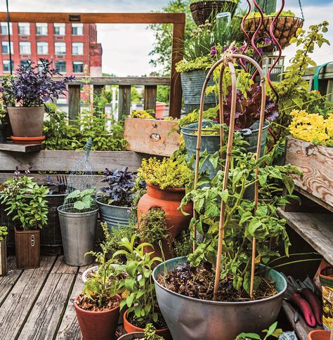 Rooftop Container Garden Raised Garden Designs, Upstairs Deck, Garden Renovation Ideas, Container Garden Design, Video Garden, Diy Raised Garden, Deck Decorating Ideas, Garden Containers, Container Garden