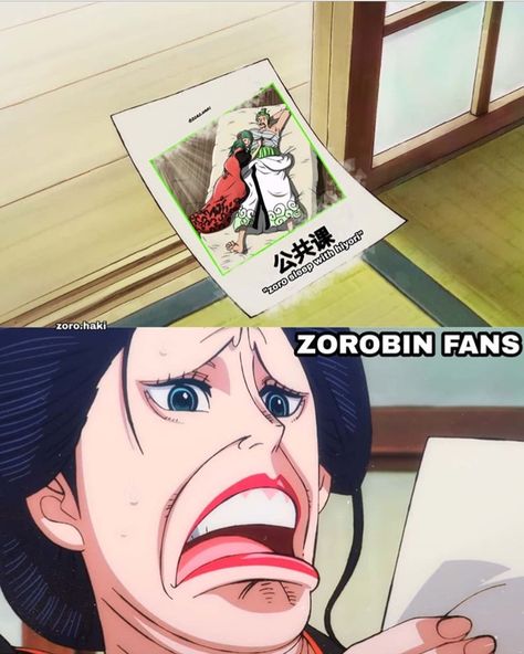 Robin Meme, Zoro X Robin, Zoro And Sanji, One Piece Funny Moments, Zoro And Robin, Anime Funny Moments, One Piece Funny, One Piece Images, One Piece Comic