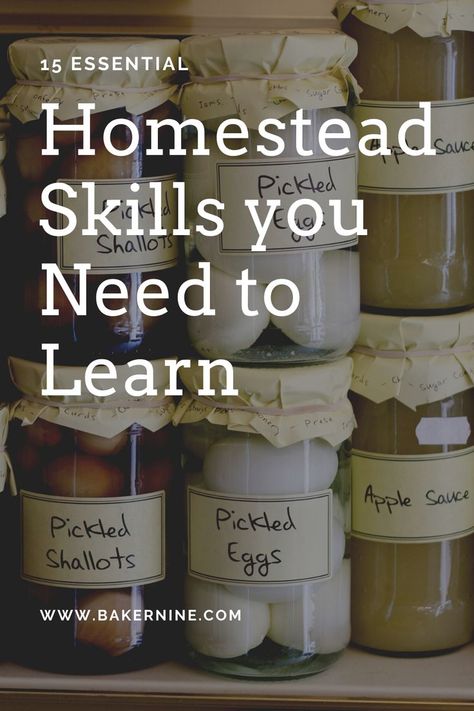 homestead skills