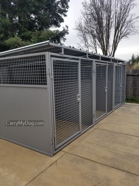 3 Dog Kennel Ideas Outdoor, Building Dog Kennel Outdoor, Pvc Dog Kennel, Dog Cages Outdoor, Shed To Dog Kennel, Diy Outdoor Kennels For Dogs, Dog Kennel With Run, Outdoor Kennel Ideas, Shipping Container Dog Kennel