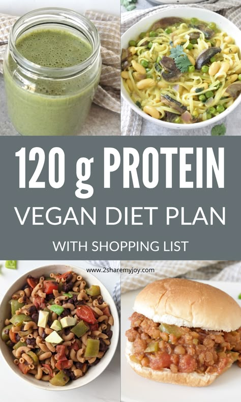 Plant Based Macro Meals, 120 G Protein Meal Plan, 120 Protein Meal Plan, Protein Filled Vegan Meals, Macro Vegan Meals, Veggie Protein Breakfast, Yummy High Protein Breakfast, Protein Packed Vegan Meals, Vegan Diet High Protein