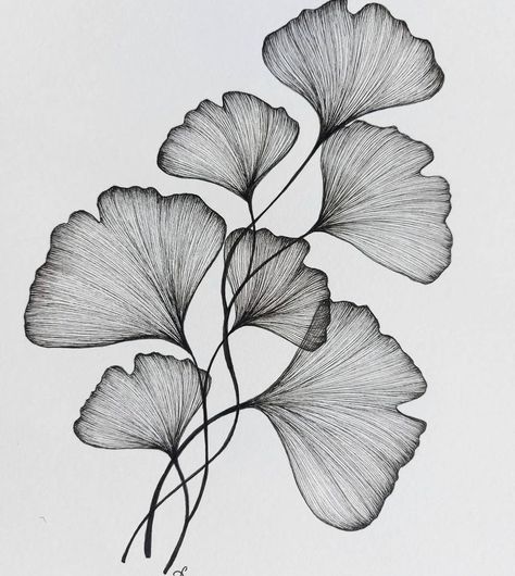 Leaves Sketch, Flower Drawing Tutorials, Pen Art Drawings, Drawing Examples, Black And White Art Drawing, Flower Art Drawing, Floral Tattoo Design, Flower Sketches, Leaf Drawing