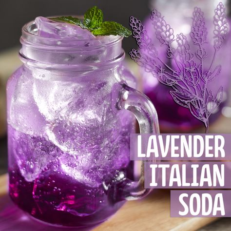 Babychino Drink, Lavender Italian Soda, French Soda Recipe, Italian Soda Flavors Combinations, Italian Soda Recipes, Lavender Soda, Italian Soda Recipe, Lavender Things, Soda Stream Recipes