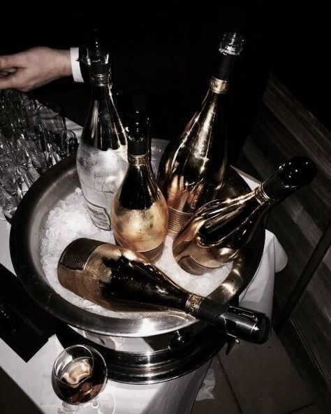 Boujee Aesthetic, Rich Girl Aesthetic, Rich Girl Lifestyle, Rich Lifestyle, Luxe Life, Classy Aesthetic, Luxury Aesthetic, Champagne Bottles, Rich Life