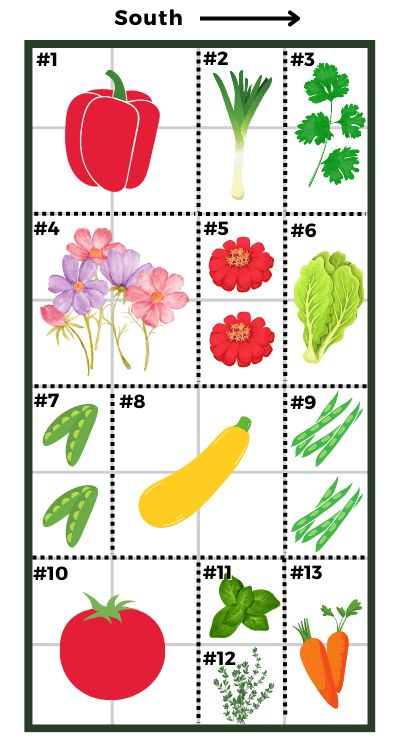 Raised Garden Plans Layout, Raised Garden Bed Template, Standing Garden Beds Layout, 4x8 Garden Layout, Square Food Garden Plan, 4x8 Vegetable Garden Layout, 4x6 Garden Layout, 20 X 20 Garden Layout, 2 X 8 Raised Garden Bed Layout