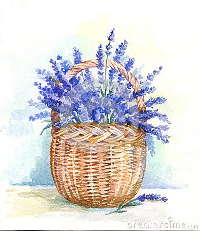 Painting Baskets, Lavender Basket, Basket Drawing, Painted Baskets, Watercolor Monogram, Garden Illustration, Watercolor Bouquet, Watercolor Christmas Cards, Watercolor Landscape Paintings