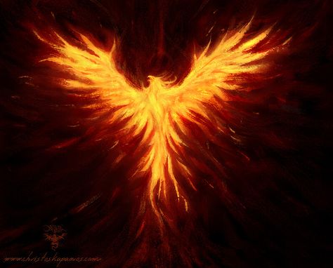 Fenix Tattoo, Phoenix Painting, Phoenix Wings, Phoenix Bird Tattoos, Phoenix Wallpaper, Phoenix Artwork, Phoenix Tattoos, Phoenix Tattoo Design, Amoled Wallpapers