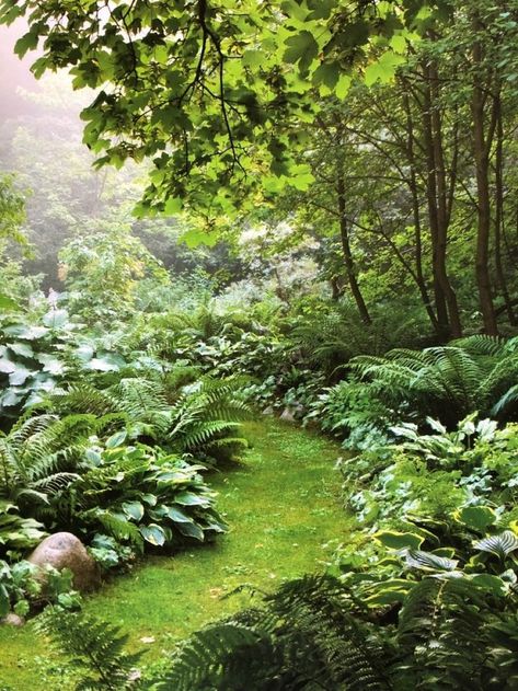 Backyard Woods Landscaping, Forest Garden Backyards, Forest Landscaping, House Garden Design, Garden Design Home, Hobbit Garden, Aesthetic Home Decor Ideas, Scandinavian Garden, Garden Forest