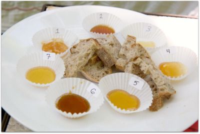 Honey tasting Honey Flavors, Honey Tasting, Bee Apiary, Honey Production, Honey Bee Theme, Red Bee, Keeping Bees, Benefits Of Honey, Honey Benefits